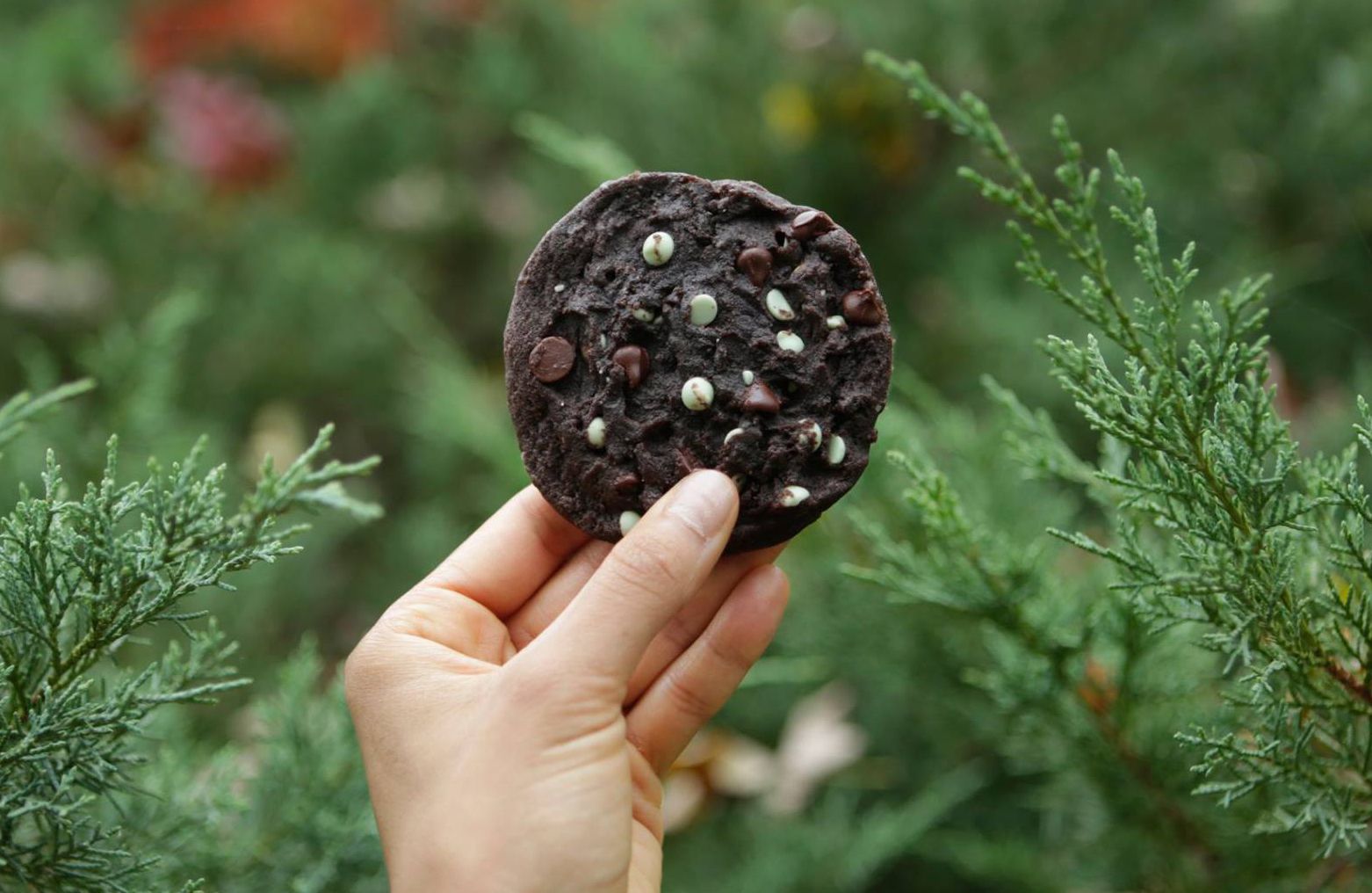 Subway’s Decadent Double Chocolate Cookie Returns for a Short Time Subway’s Decadent Double Chocolate Cookie Returns for a Short Time