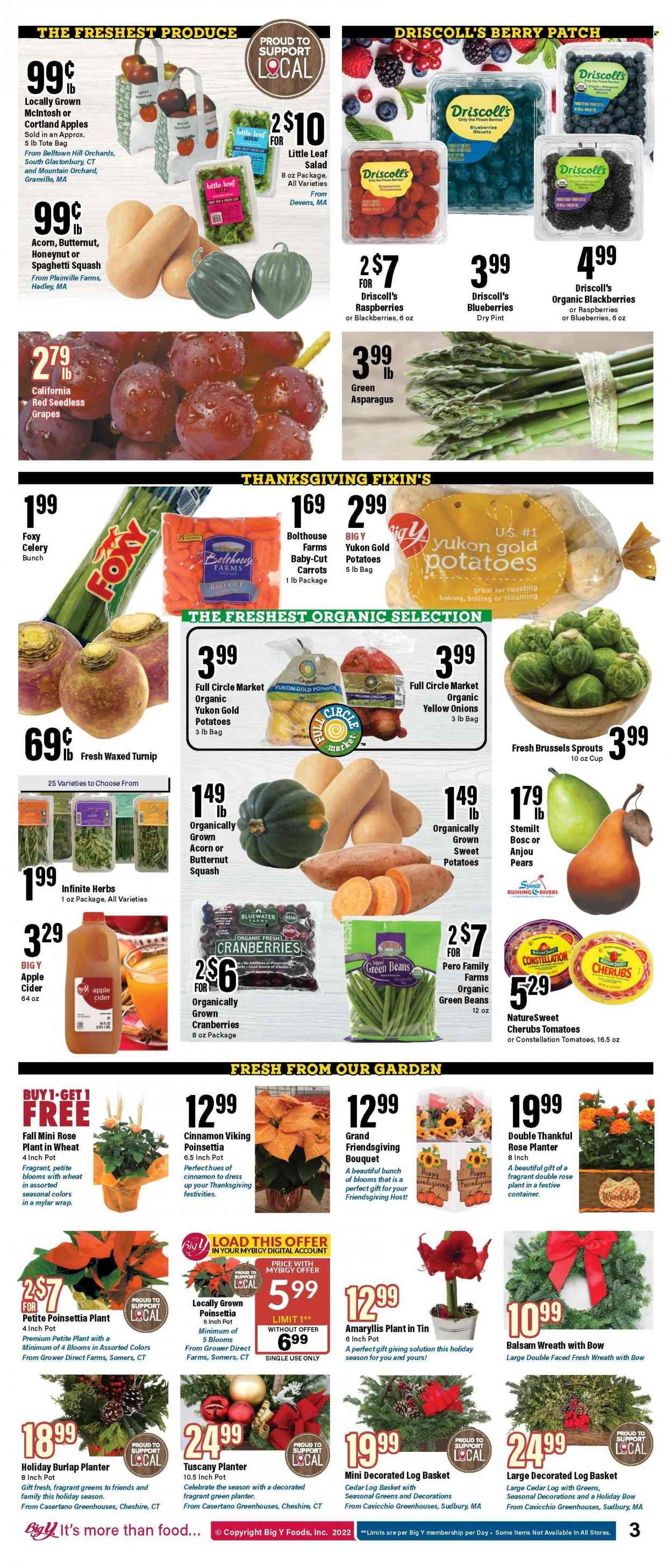 Big Y (CT, MA) Weekly Ad Flyer Specials November 17 to November 23, 2022