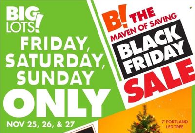 Big Lots Weekly Ad Flyer Specials November 25 to November 27, 2022