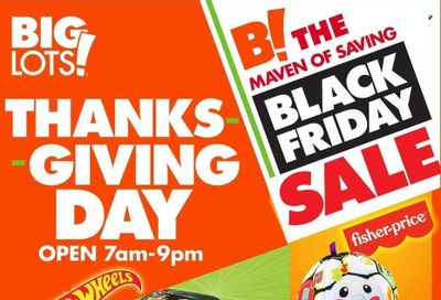 Big Lots Weekly Ad Flyer Specials November 24 to November 24, 2022
