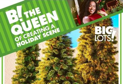 Big Lots Weekly Ad Flyer Specials November 28 to December 2, 2022