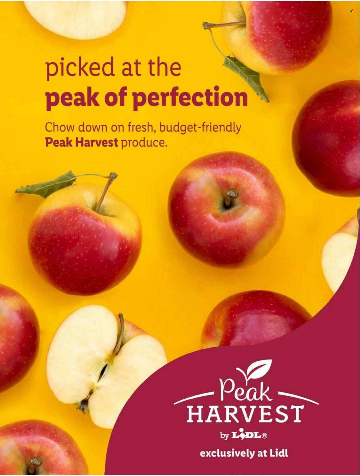 Lidl (GA, MD, NC, NJ, PA, SC, VA) Weekly Ad Flyer Specials November 23 to December 27, 2022