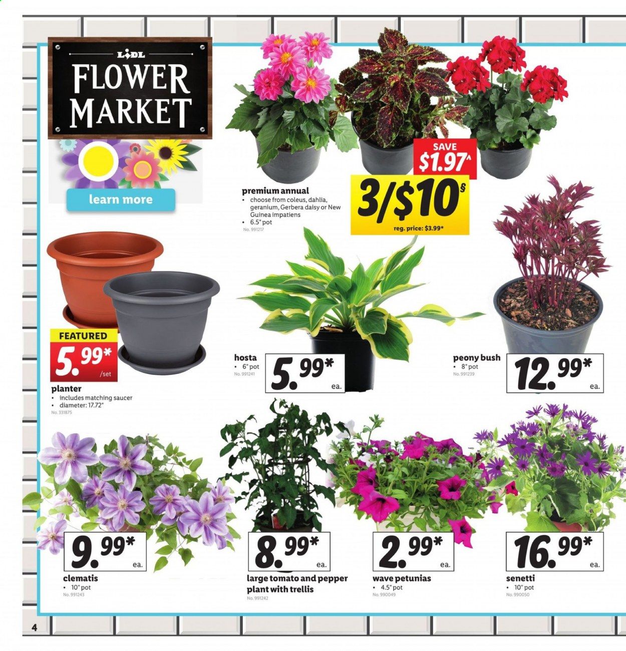 Lidl Weekly Ad & Flyer April 22 to 28