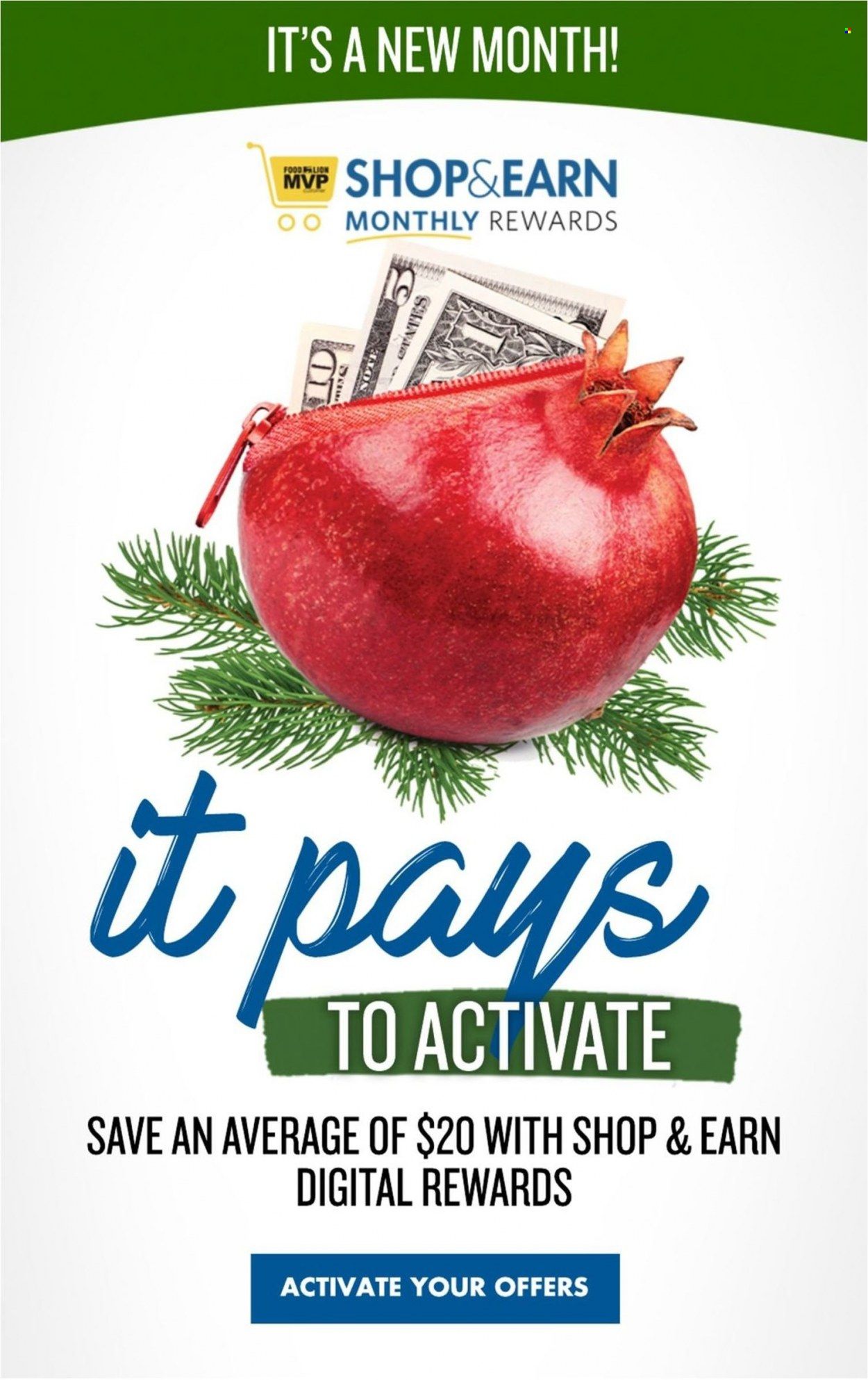 Food Lion (VA) Weekly Ad Flyer Specials December 7 to December 13, 2022
