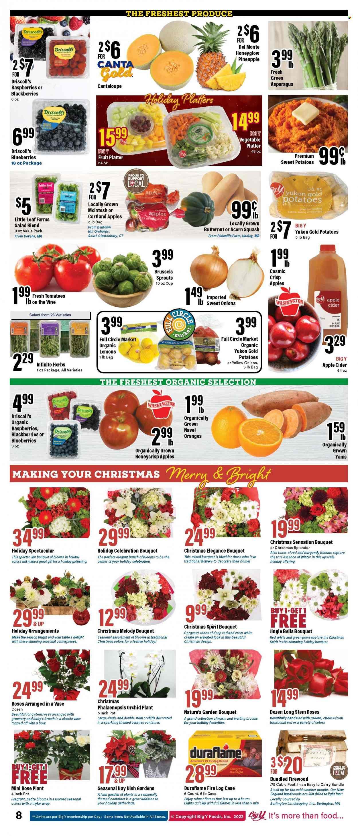 Big Y (CT) Weekly Ad Flyer Specials December 15 to December 28, 2022