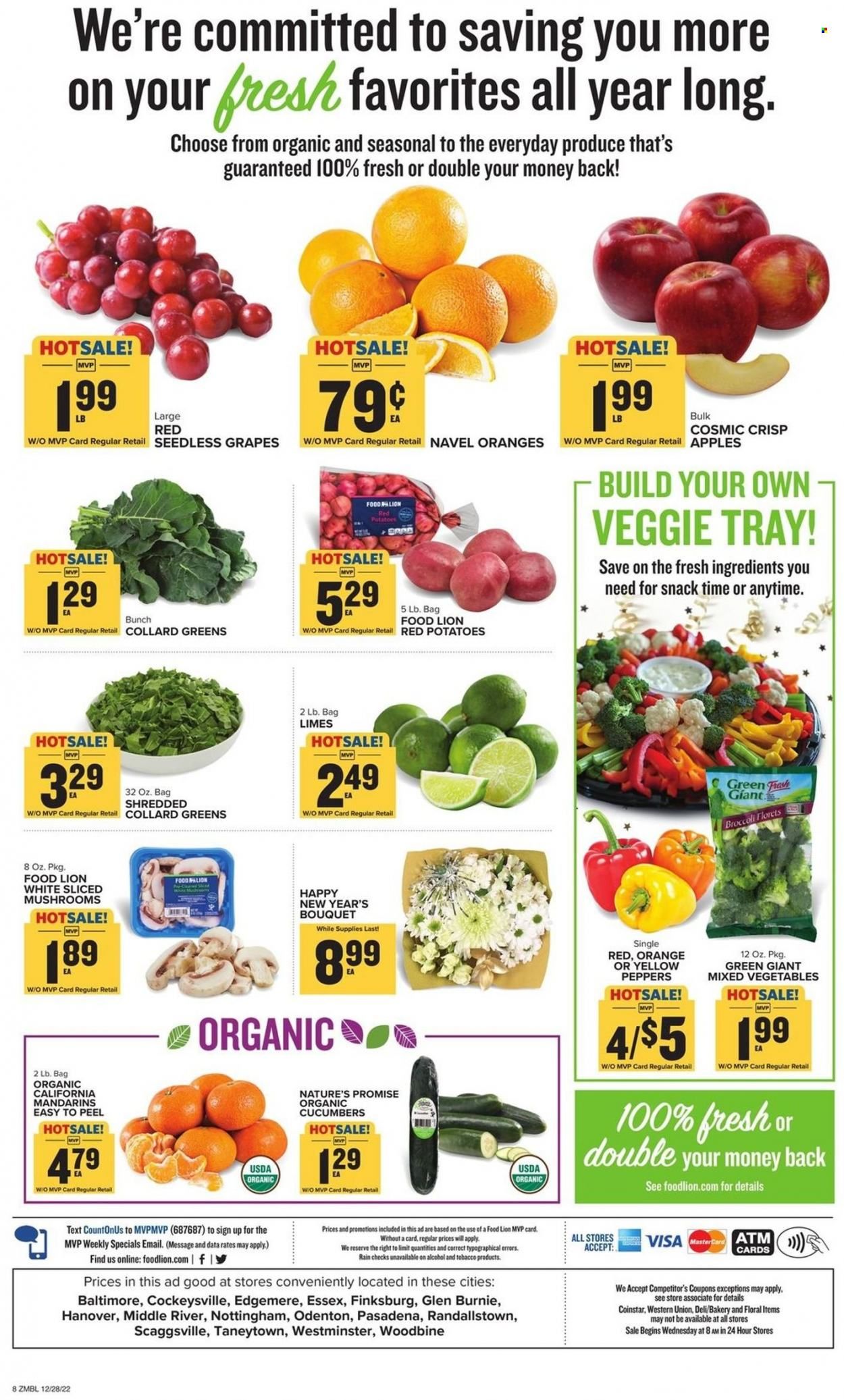 Food Lion (MD) Weekly Ad Flyer Specials December 28 to January 3, 2023