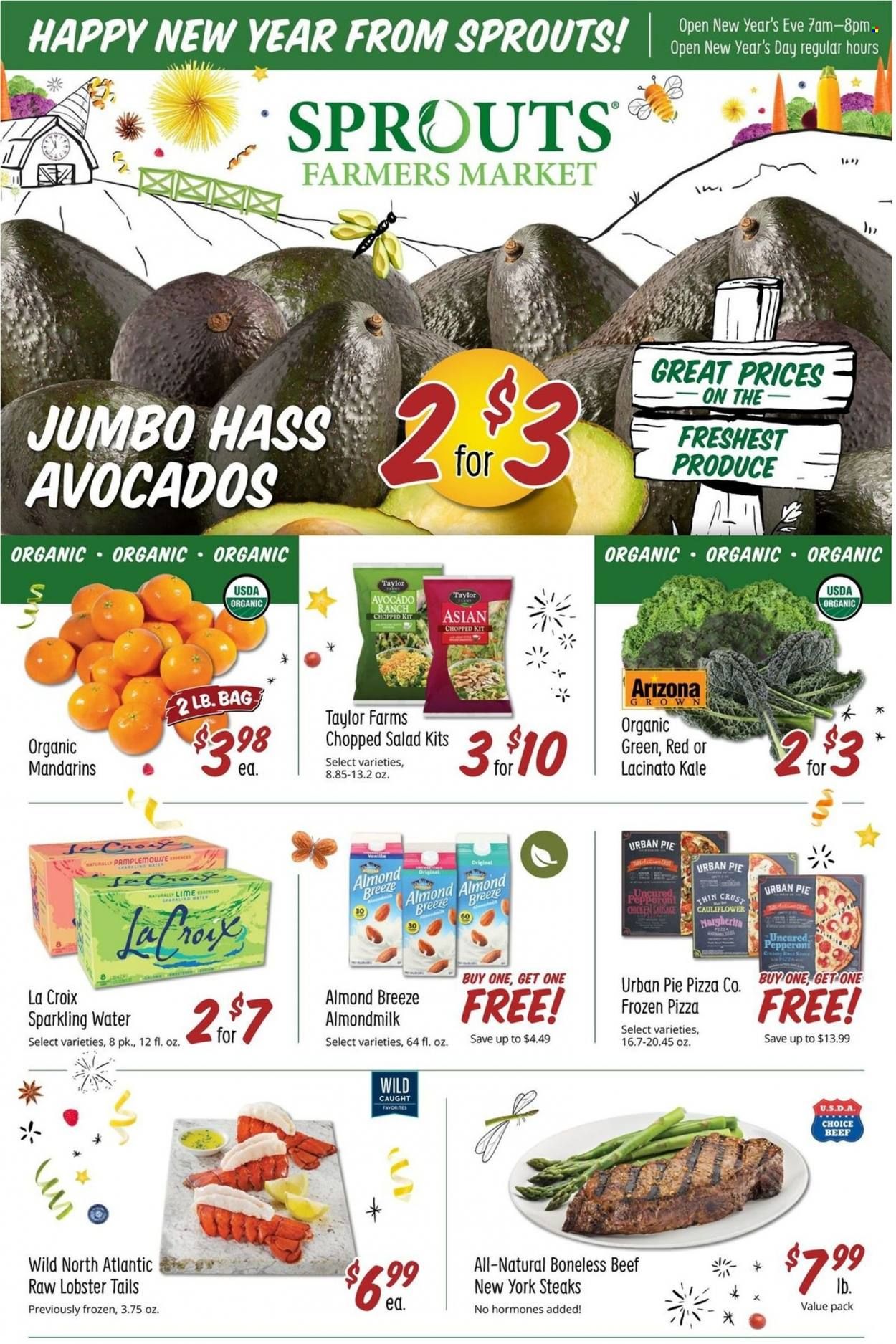 Sprouts Weekly Ad Flyer Specials December 28 to January 3, 2023