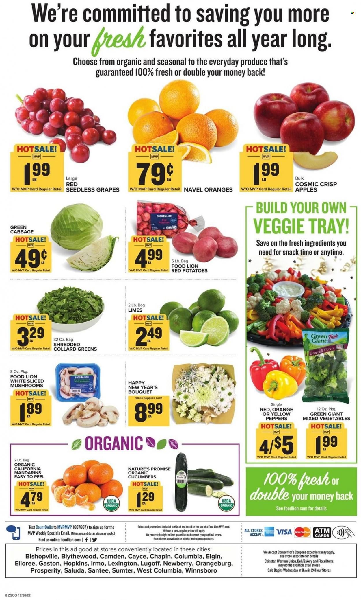 Food Lion (SC) Weekly Ad Flyer Specials December 28 to January 3, 2023