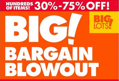 Big Lots Weekly Ad Flyer Specials December 31 to January 6, 2023