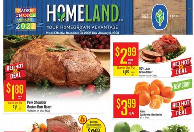 Homeland (OK, TX) Weekly Ad Flyer Specials December 28 to January 3, 2023