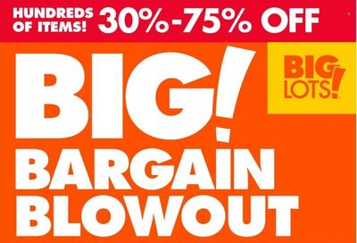 Big Lots Weekly Ad Flyer Specials January 7 to January 13, 2023