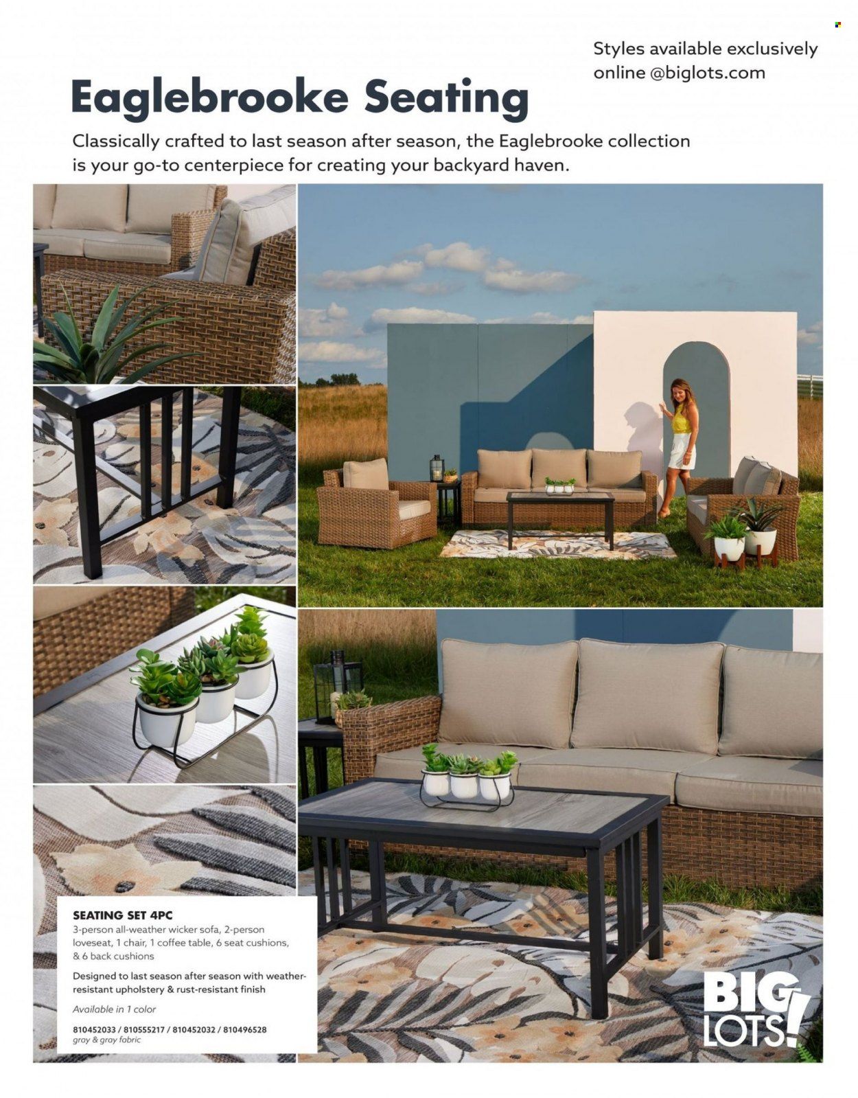 Big Lots Weekly Ad Flyer Specials January 7 to July 7, 2023