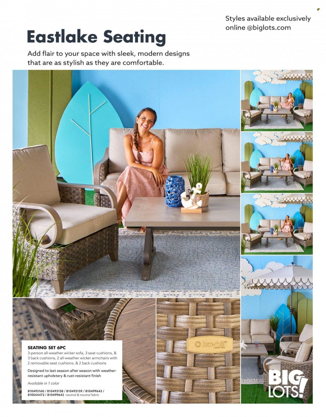 Big Lots Weekly Ad Flyer Specials January 7 to July 7, 2023