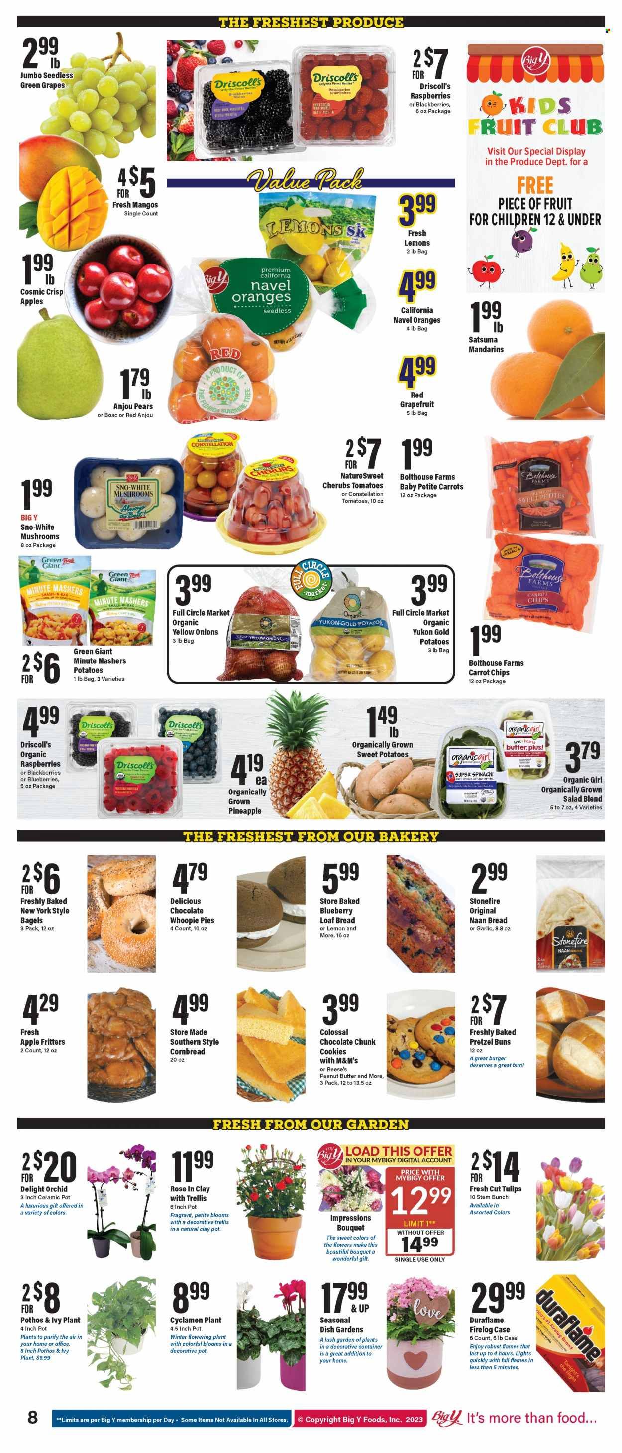 Big Y (CT) Weekly Ad Flyer Specials January 12 to January 18, 2023