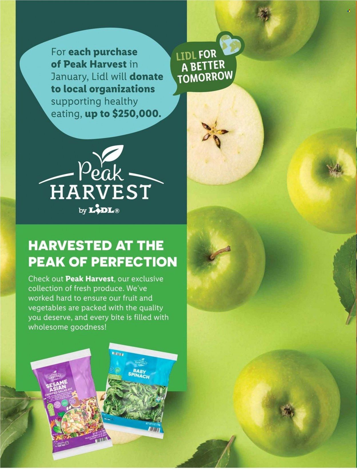 Lidl (GA, MD, NC, NJ, PA, SC, VA) Weekly Ad Flyer Specials December 28 to January 31, 2023
