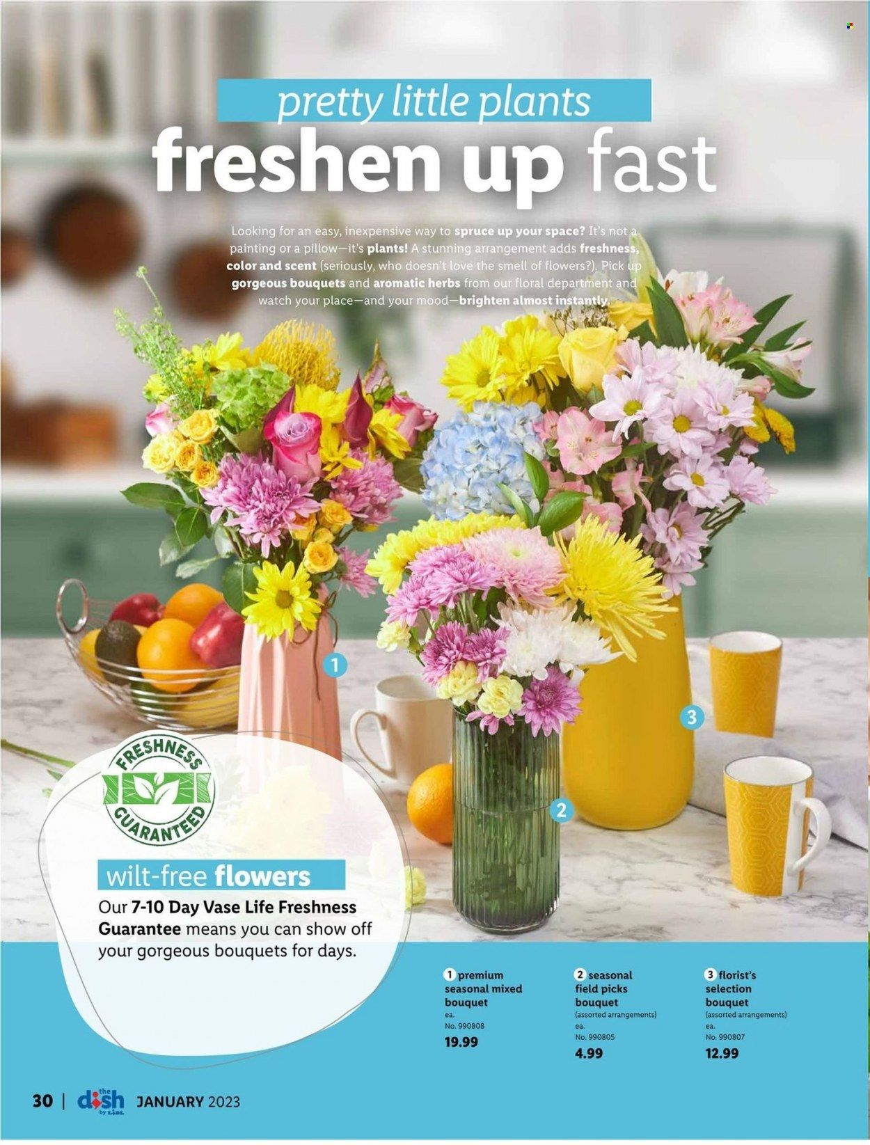 Lidl (GA, MD, NC, NJ, PA, SC, VA) Weekly Ad Flyer Specials December 28 to January 31, 2023