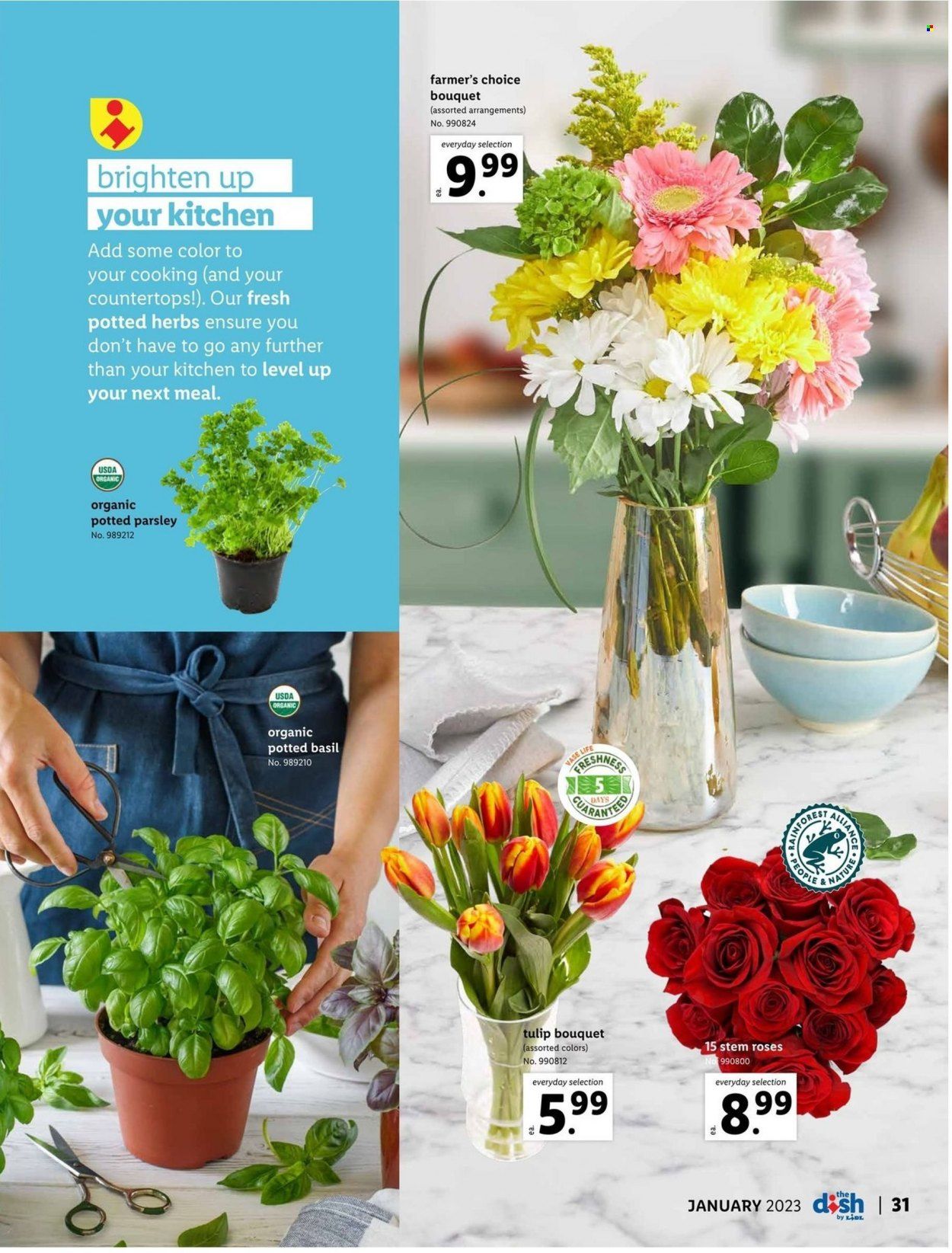 Lidl (GA, MD, NC, NJ, PA, SC, VA) Weekly Ad Flyer Specials December 28 to January 31, 2023