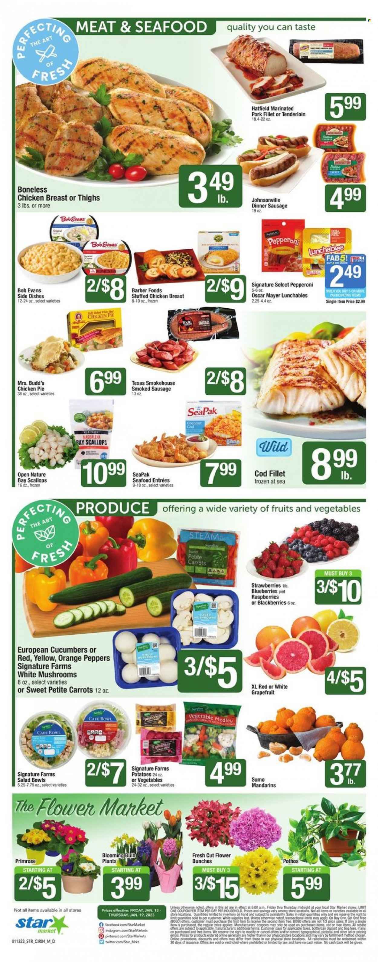 Star Market Weekly Ad Flyer Specials January 13 to January 19, 2023