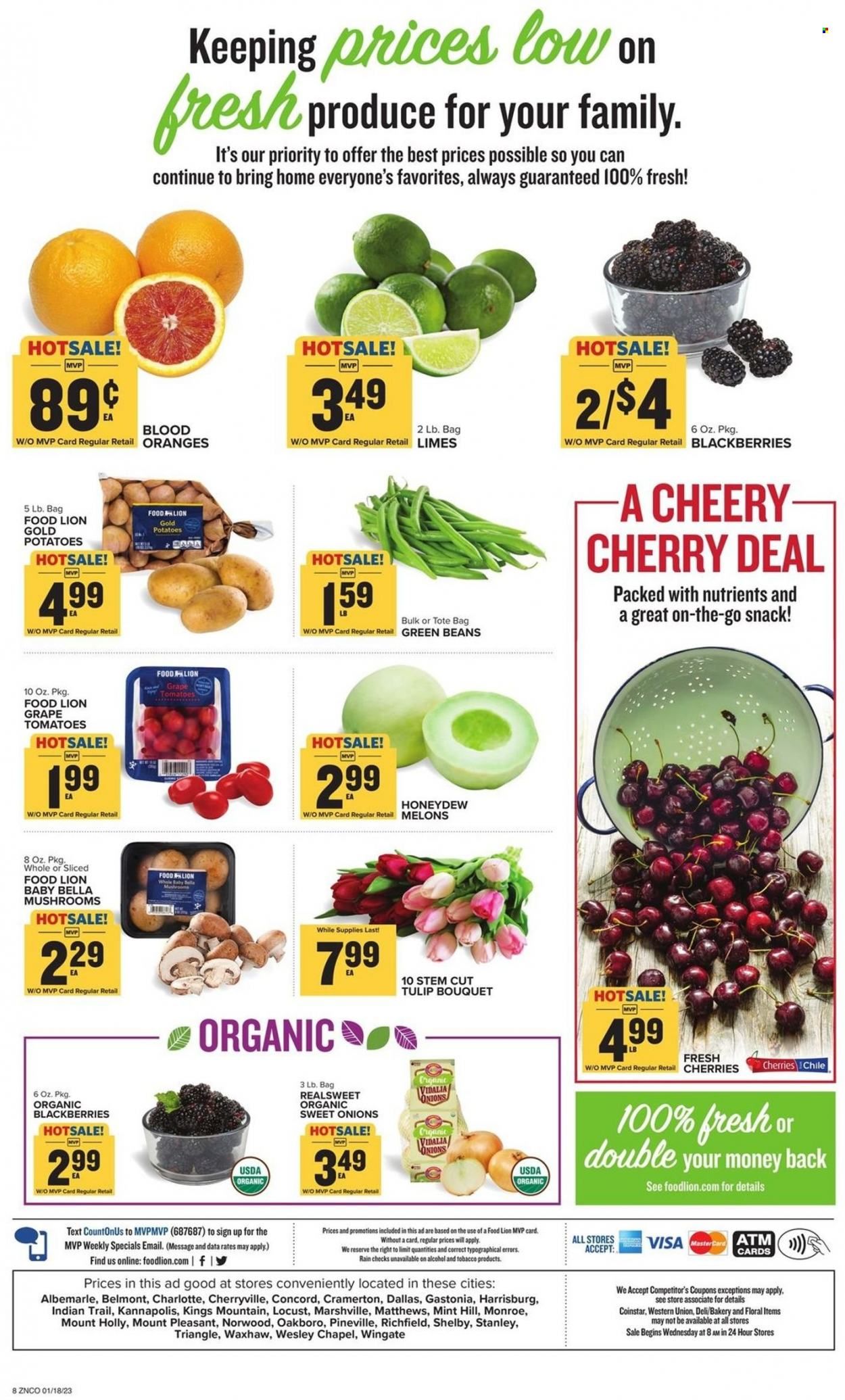 Food Lion (NC) Weekly Ad Flyer Specials January 18 to January 24, 2023