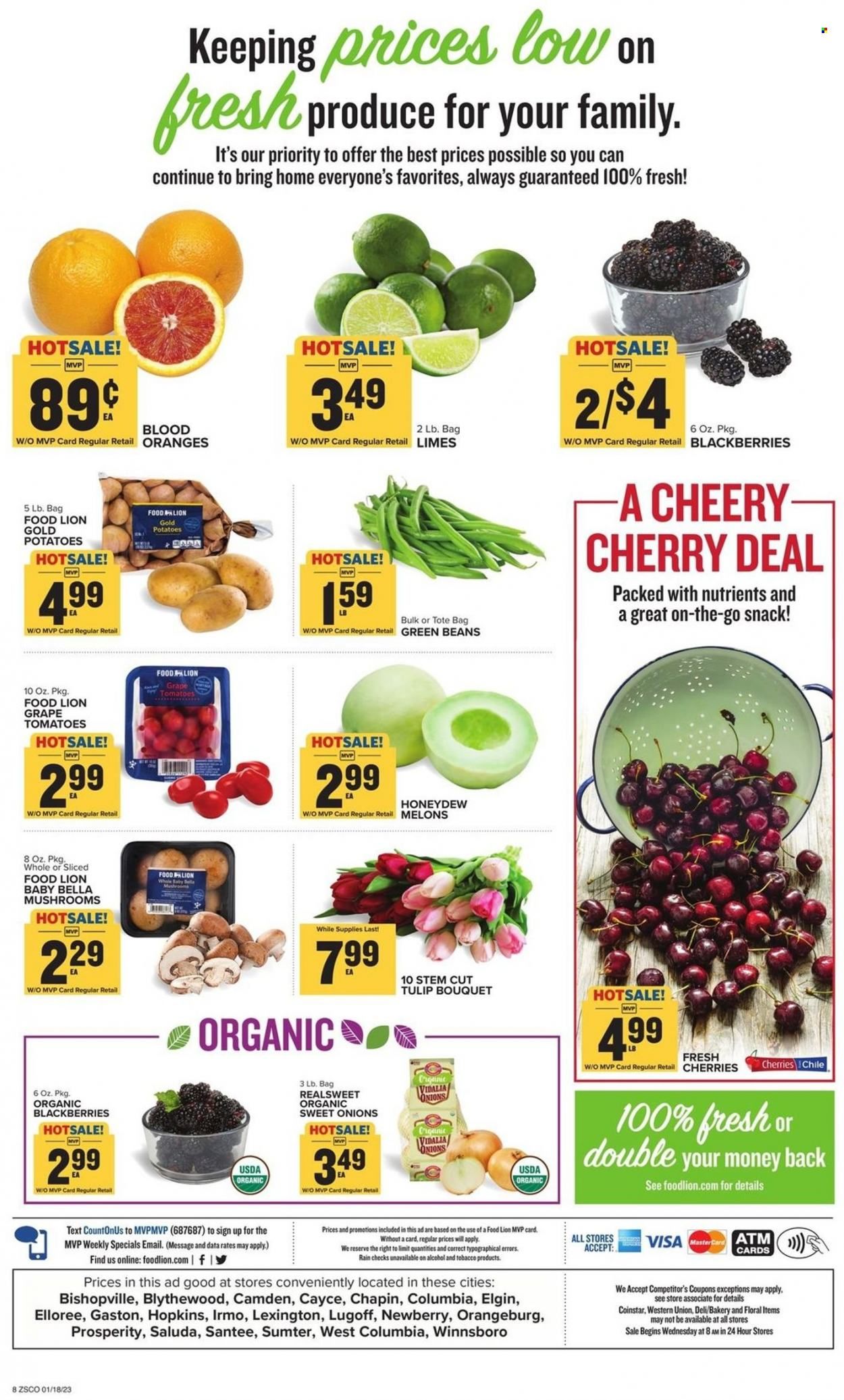 Food Lion (SC) Weekly Ad Flyer Specials January 18 to January 24, 2023