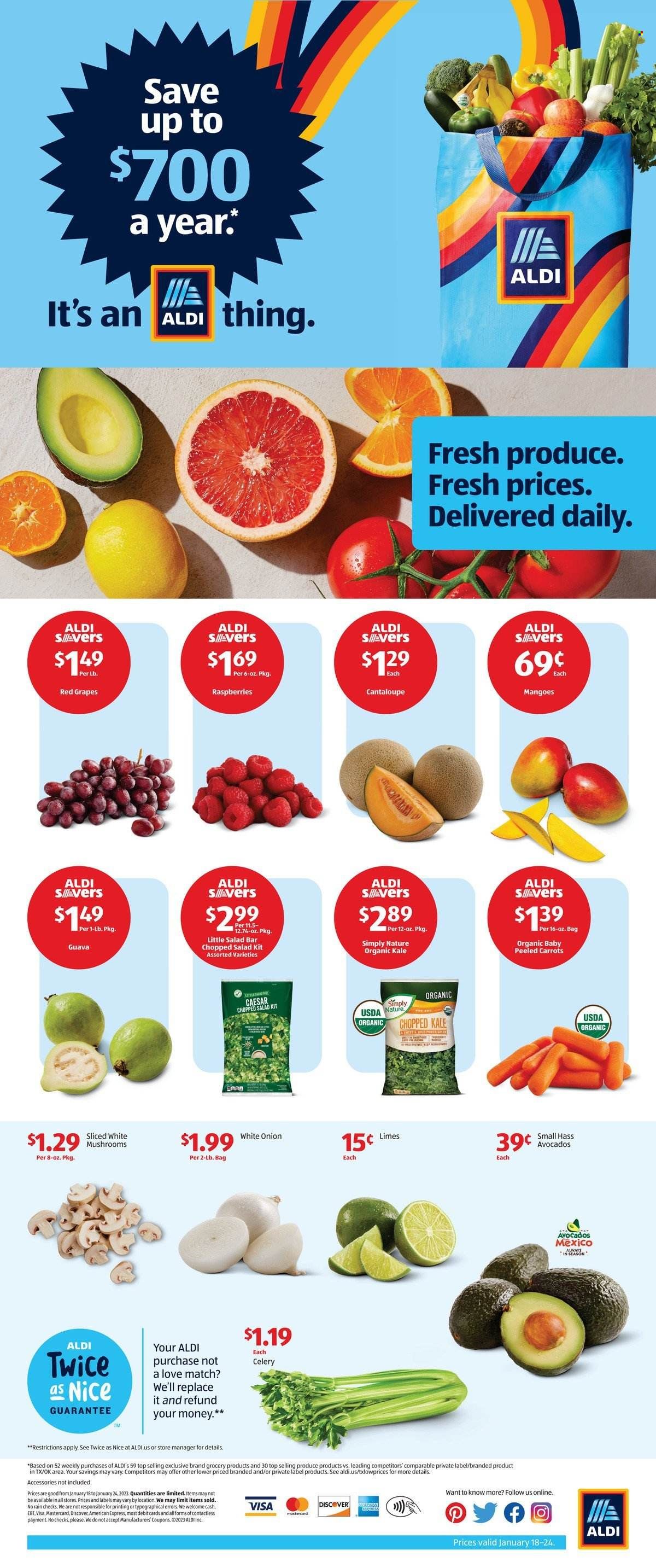 ALDI (TX) Weekly Ad Flyer Specials January 18 to January 24, 2023