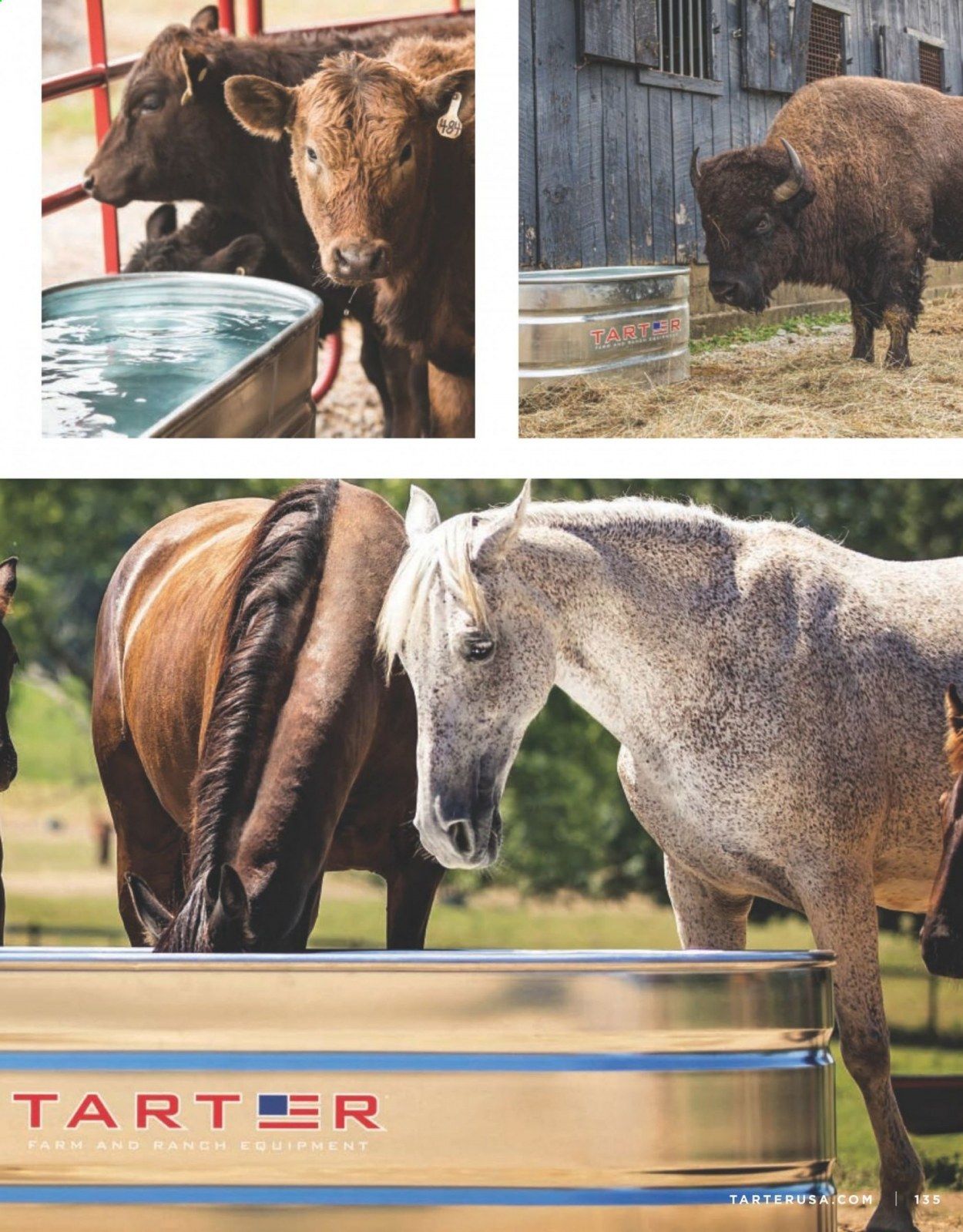 Rural King Weekly Ad & Flyer March 11, 2020 to March 31, 2021