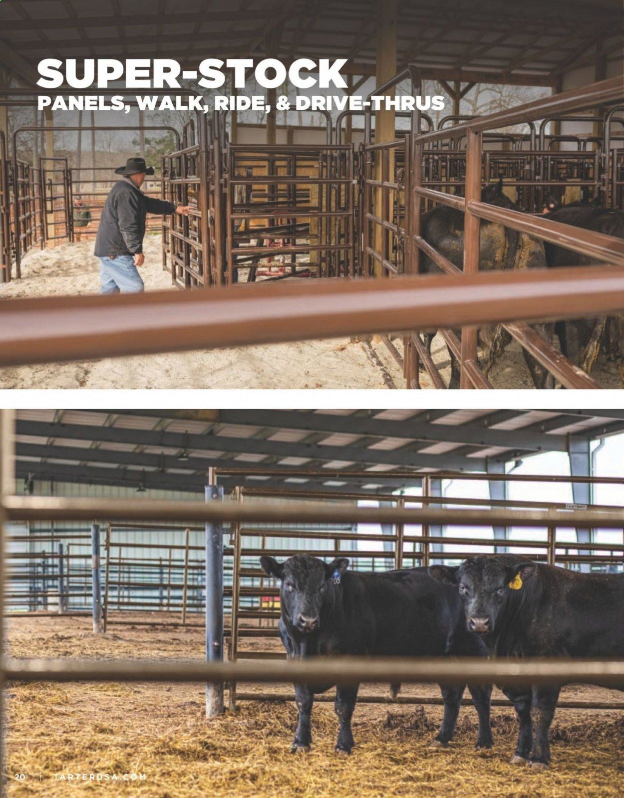 Rural King Weekly Ad & Flyer March 11, 2020 to March 31, 2021
