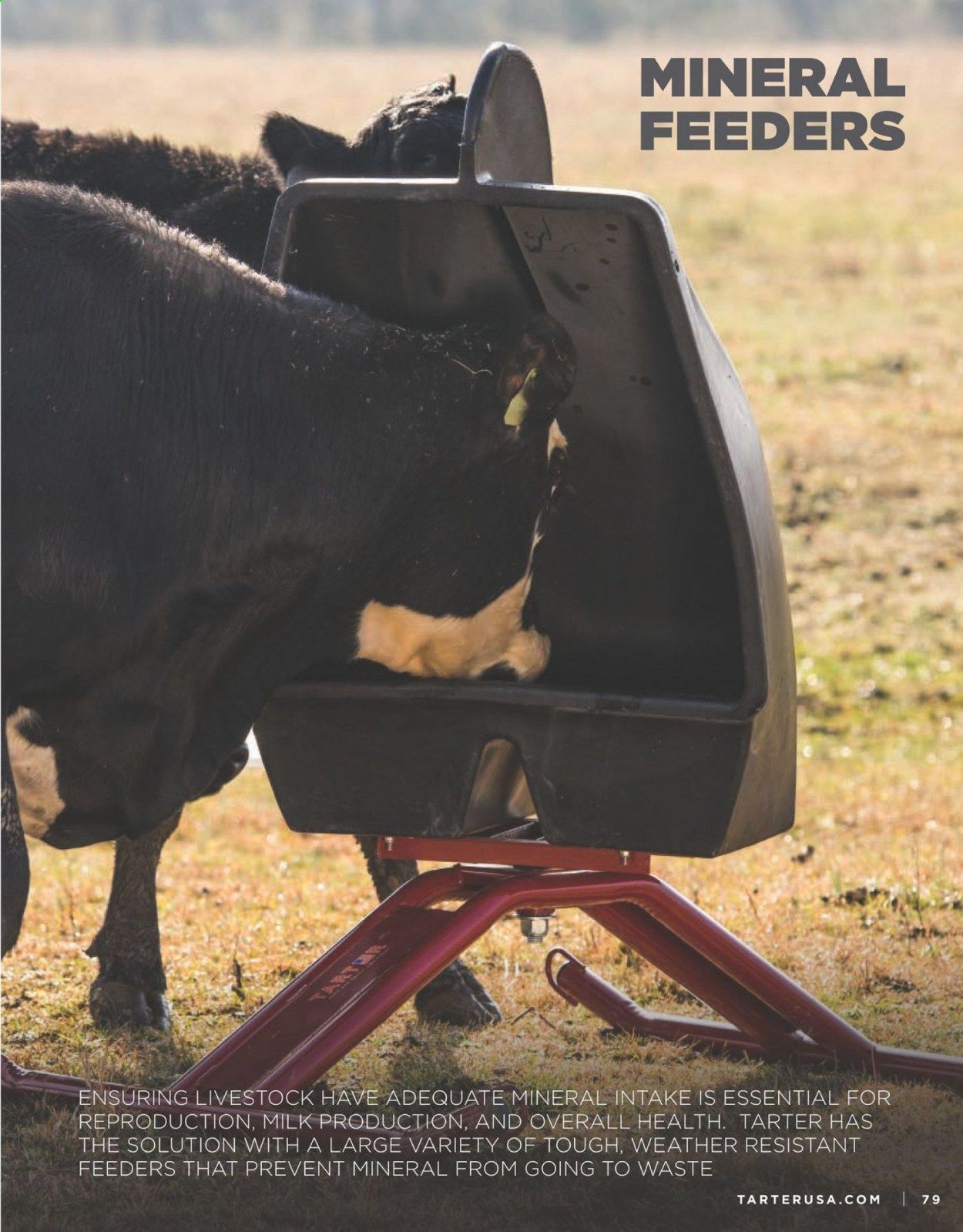 Rural King Weekly Ad & Flyer March 11, 2020 to March 31, 2021