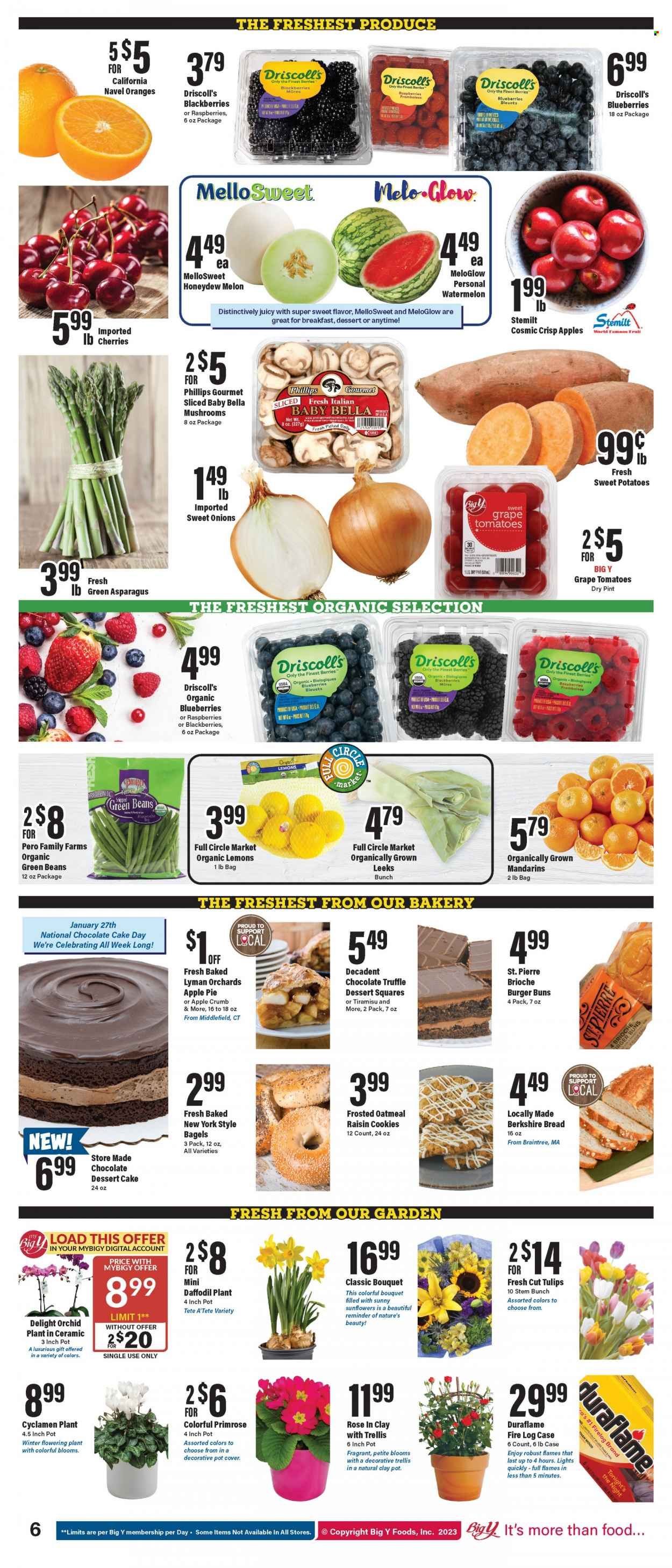 Big Y (CT) Weekly Ad Flyer Specials January 26 to February 1, 2023