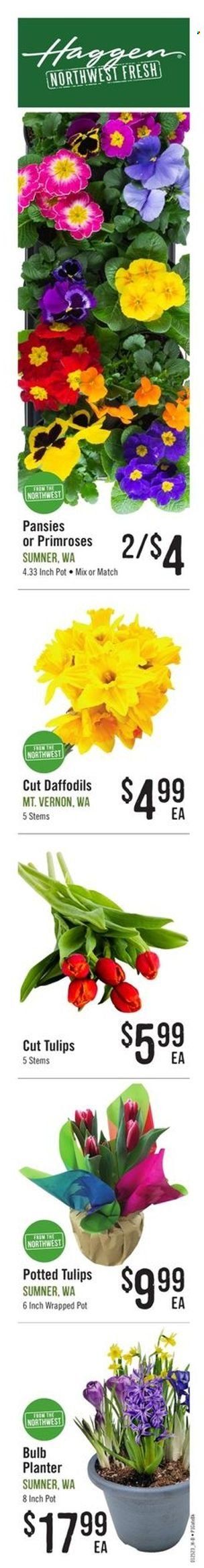 Haggen (WA) Weekly Ad Flyer Specials January 25 to February 7, 2023