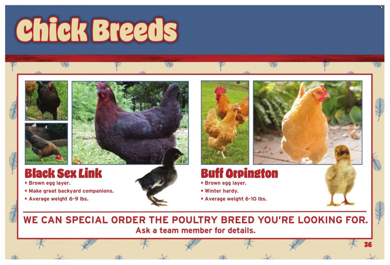 Orscheln Farm and Home (IA, IN, KS, MO, NE, OK) Weekly Ad Flyer Specials January 21 to January 31, 2024