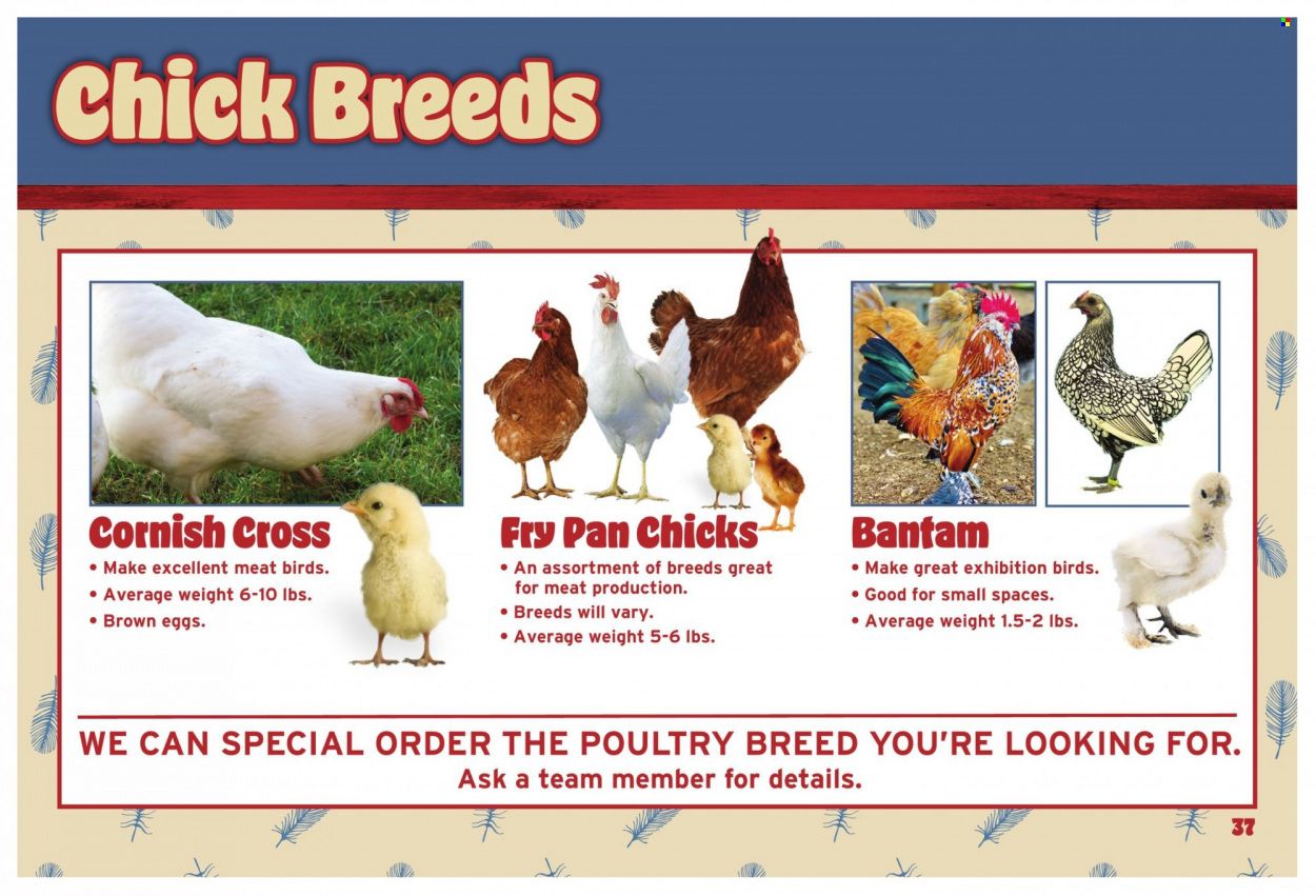 Orscheln Farm and Home (IA, IN, KS, MO, NE, OK) Weekly Ad Flyer Specials January 21 to January 31, 2024