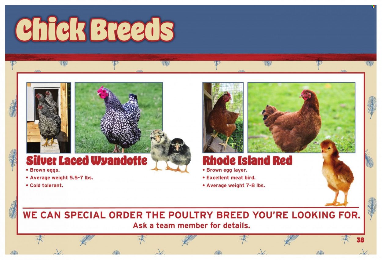Orscheln Farm and Home (IA, IN, KS, MO, NE, OK) Weekly Ad Flyer Specials January 21 to January 31, 2024