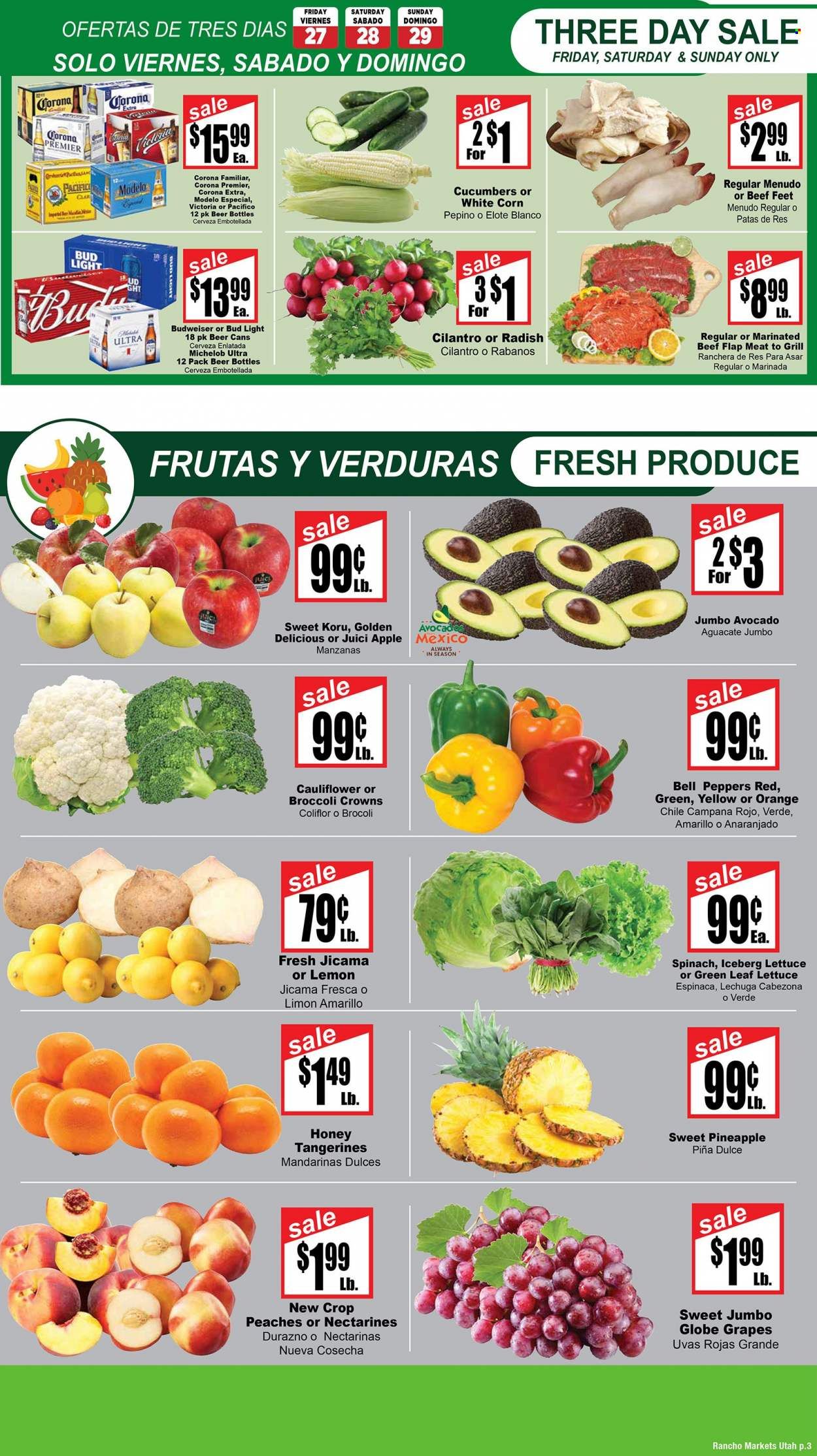 Rancho Markets (UT) Weekly Ad Flyer Specials January 24 to January 30, 2023