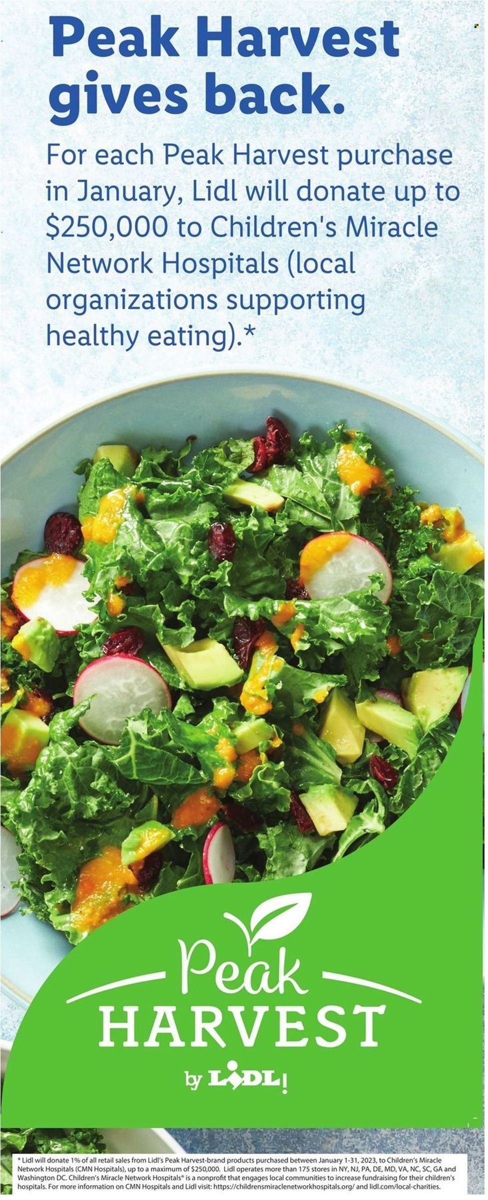 Lidl (GA, MD, NC, NJ, PA, SC, VA) Weekly Ad Flyer Specials January 25 to January 31, 2023