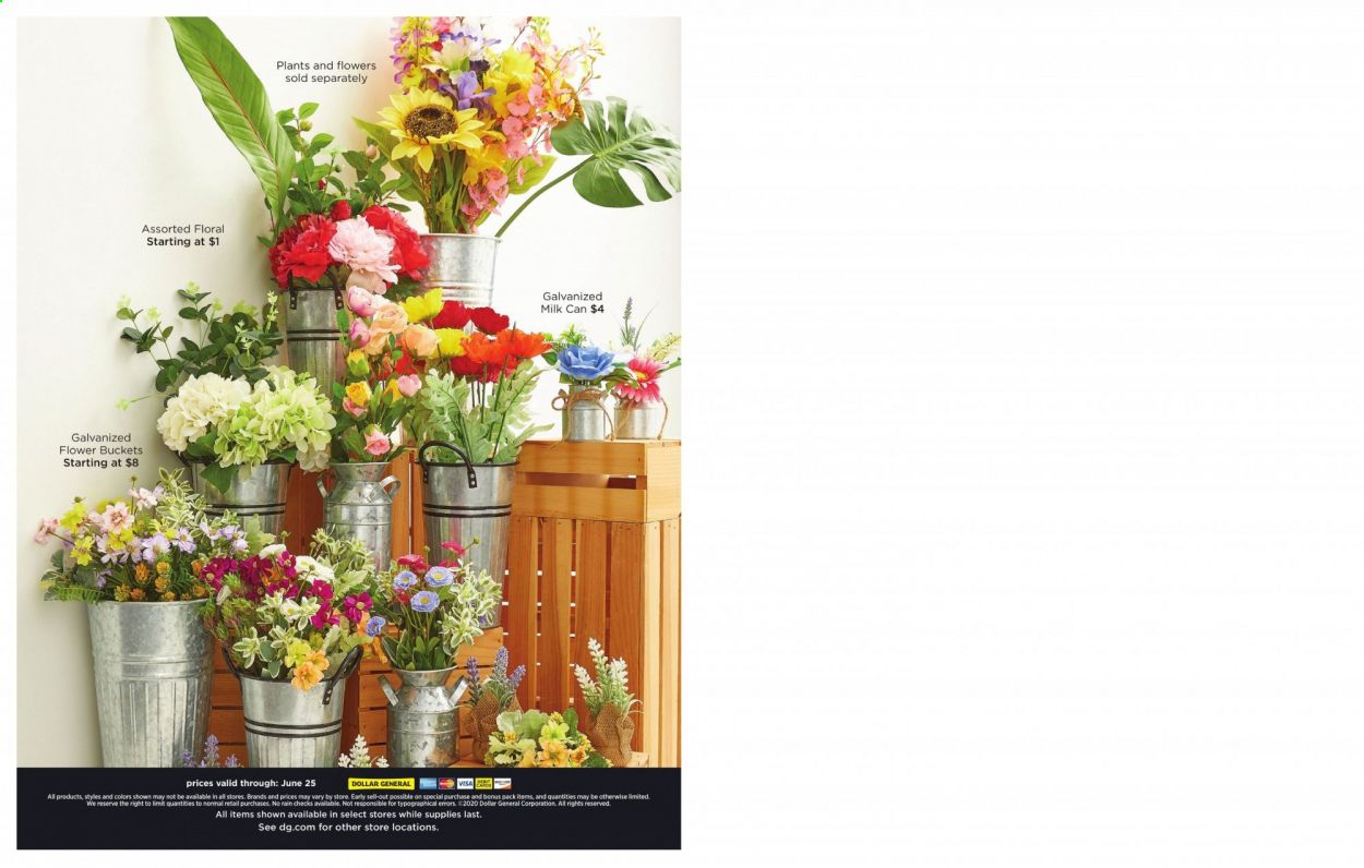 Dollar General Weekly Ad & Flyer April 22 to June 25