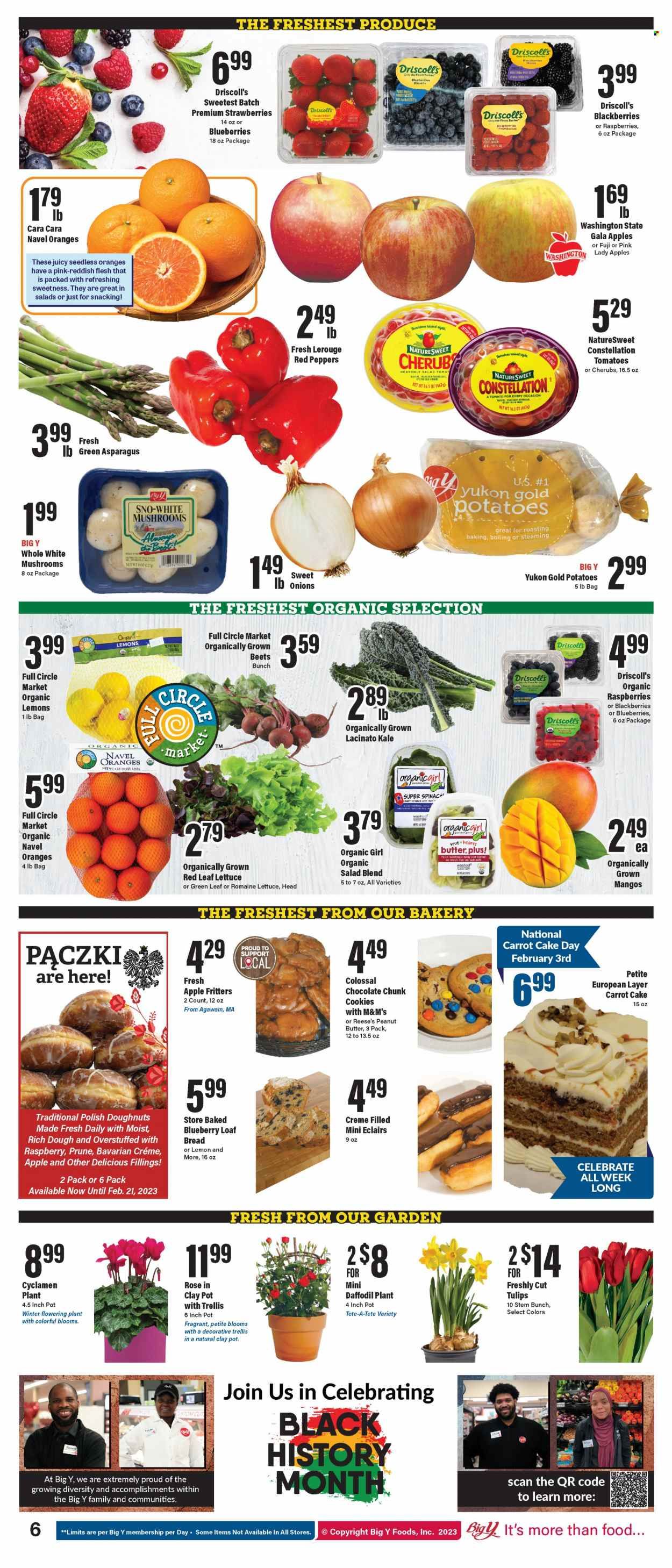 Big Y (MA) Weekly Ad Flyer Specials February 2 to February 8, 2023