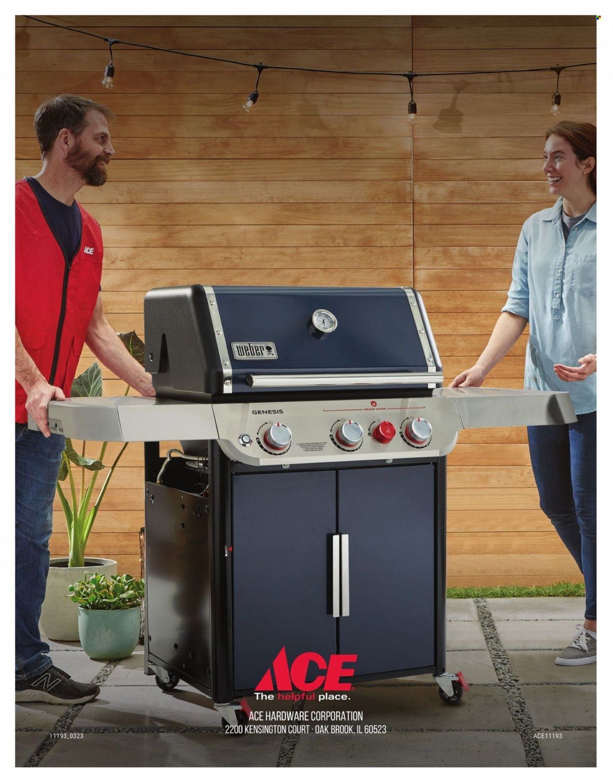 ACE Hardware Weekly Ad Flyer Specials January 25 to January 31, 2024