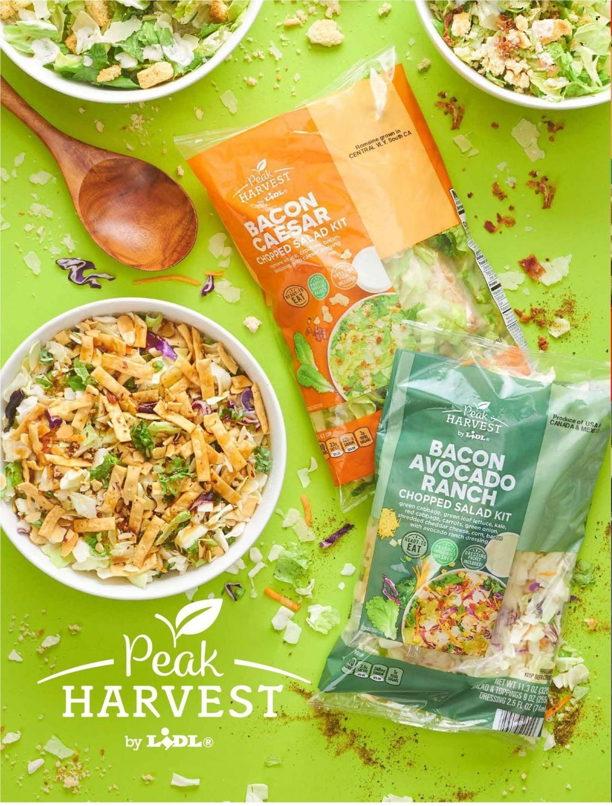 Lidl (GA, MD, NC, NJ, PA, SC, VA) Weekly Ad Flyer Specials February 1 to February 28, 2023