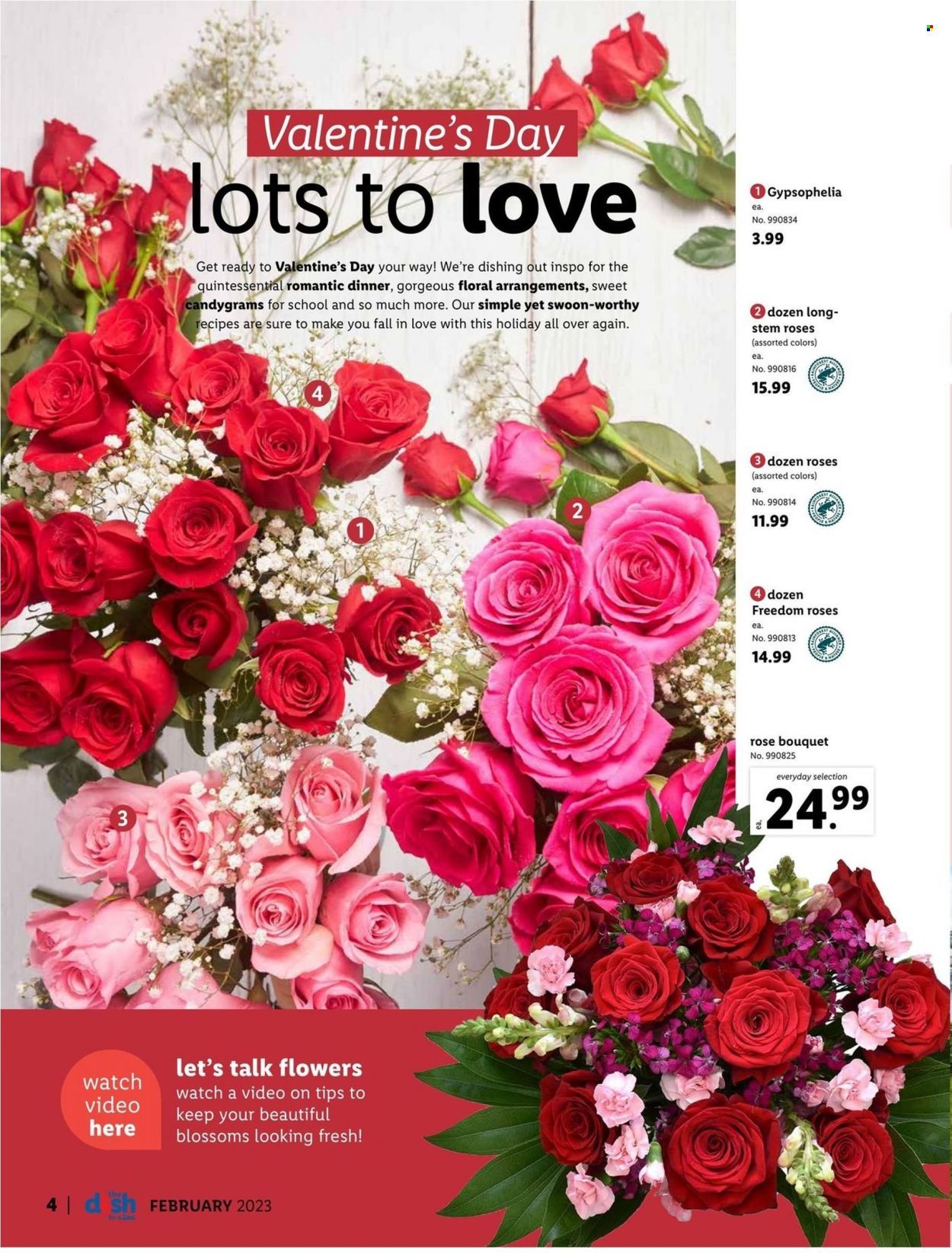 Lidl (GA, MD, NC, NJ, PA, SC, VA) Weekly Ad Flyer Specials February 1 to February 28, 2023