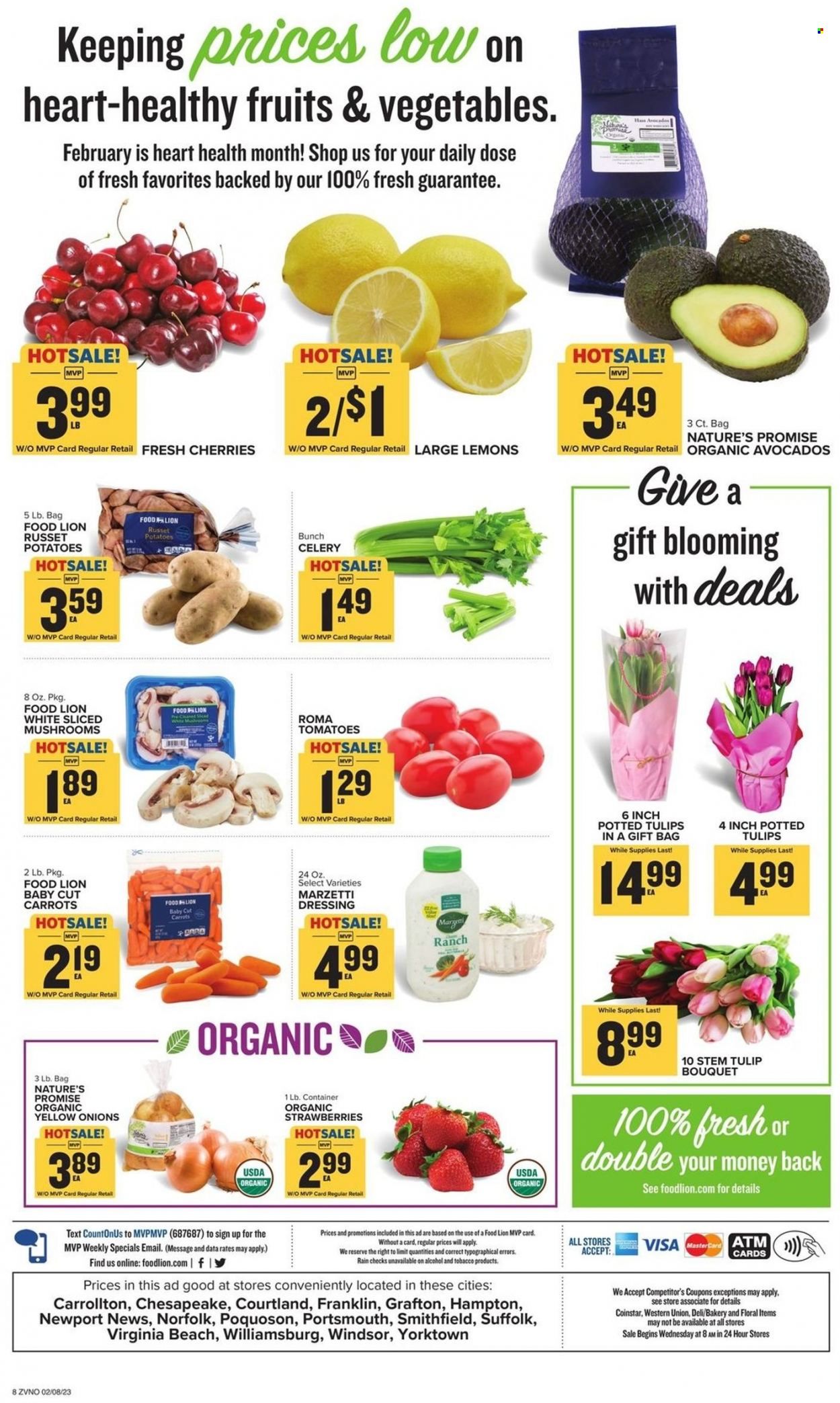 Food Lion (VA) Weekly Ad Flyer Specials February 8 to February 14, 2023