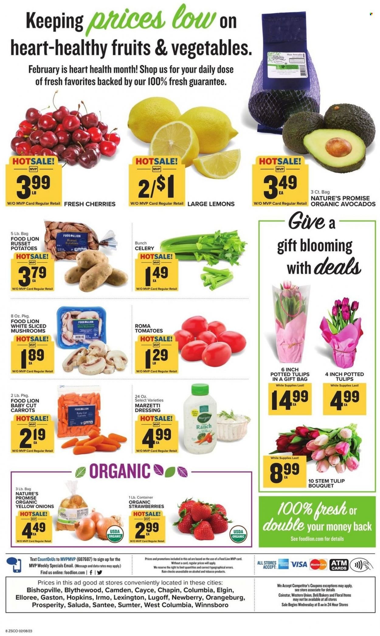 Food Lion (SC) Weekly Ad Flyer Specials February 8 to February 14, 2023