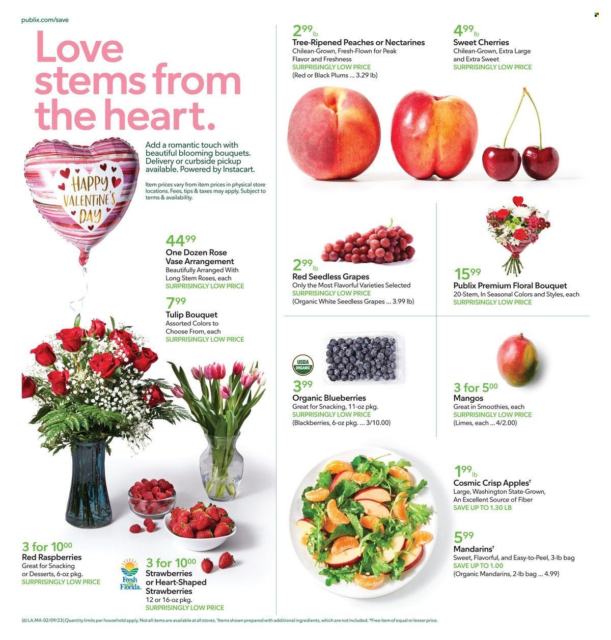 Publix (AL, FL, GA, NC, SC, TN) Weekly Ad Flyer Specials February 9 to February 15, 2023