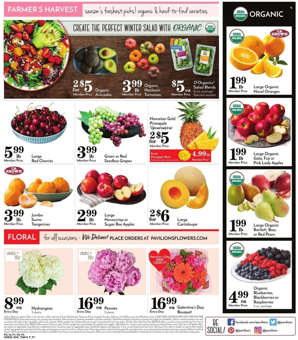 Pavilions (CA) Weekly Ad Flyer Specials February 8 to February 14, 2023