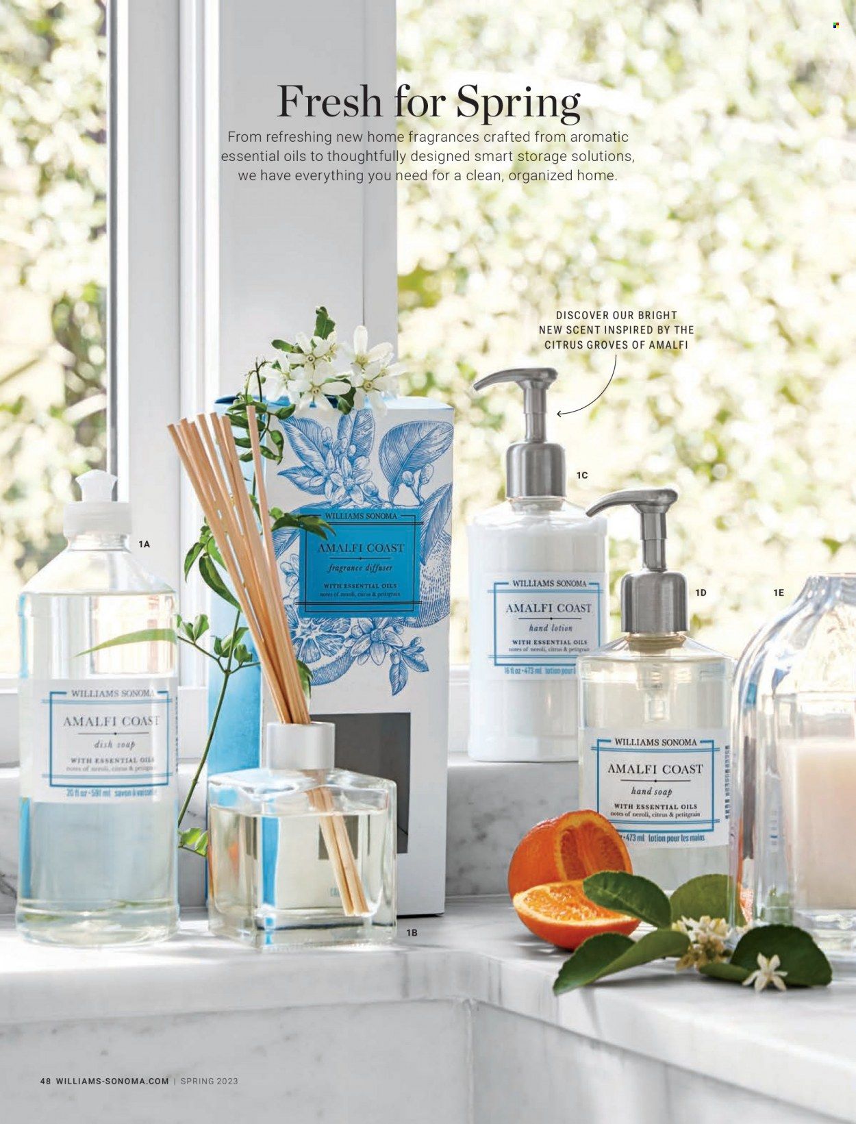 Williams-Sonoma Promotions & Flyer Specials May 2023