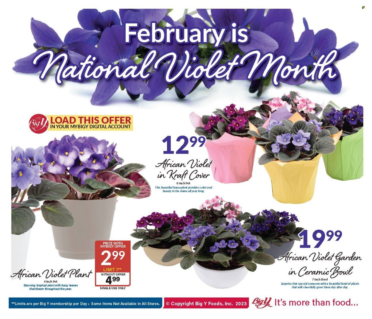 Big Y (MA) Weekly Ad Flyer Specials February 16 to February 22, 2023