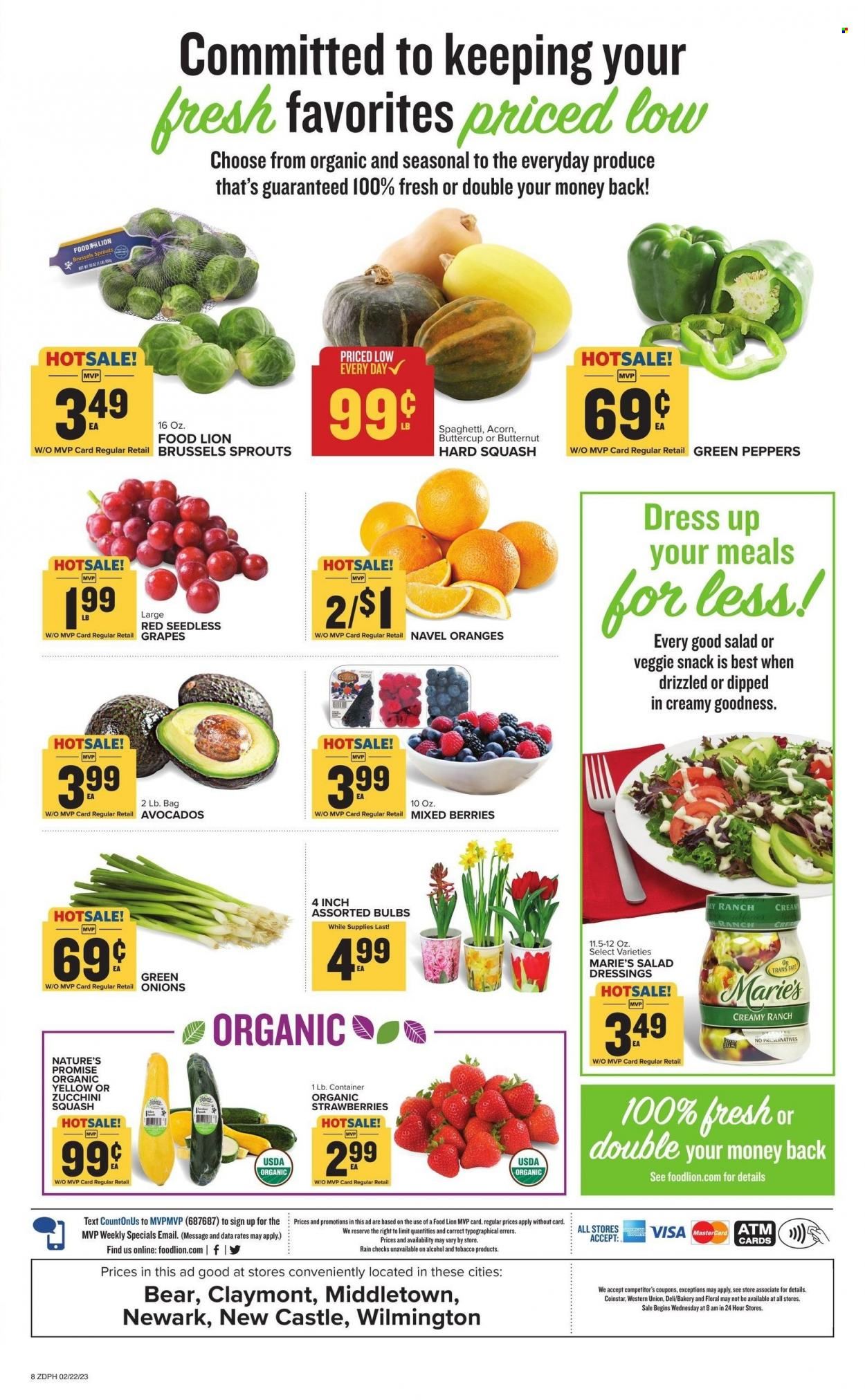 Food Lion (DE) Weekly Ad Flyer Specials February 22 to February 28, 2023