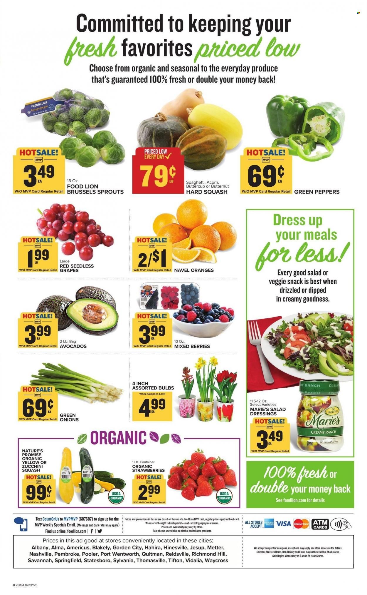 Food Lion (GA) Weekly Ad Flyer Specials February 22 to February 28, 2023