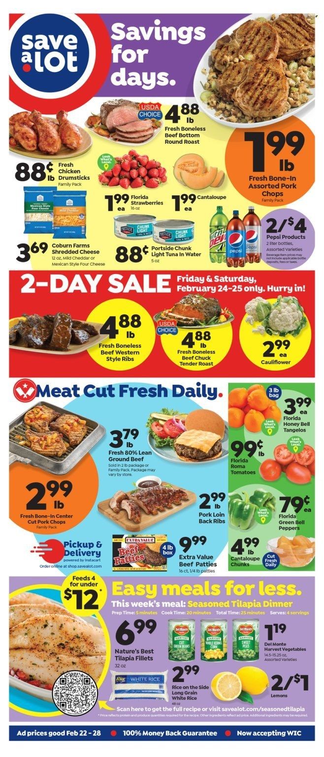 Save a Lot (FL) Weekly Ad Flyer Specials February 22 to February 28, 2023