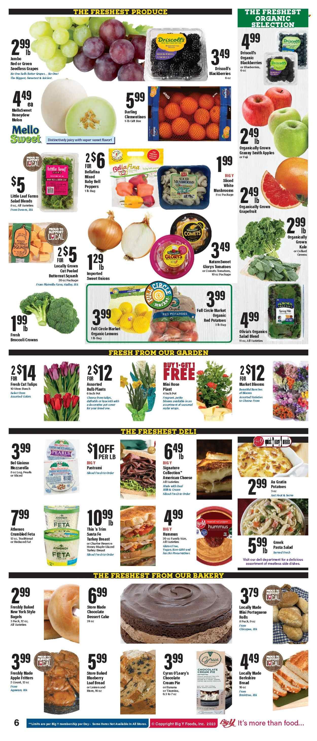 Big Y (MA) Weekly Ad Flyer Specials February 23 to March 1, 2023